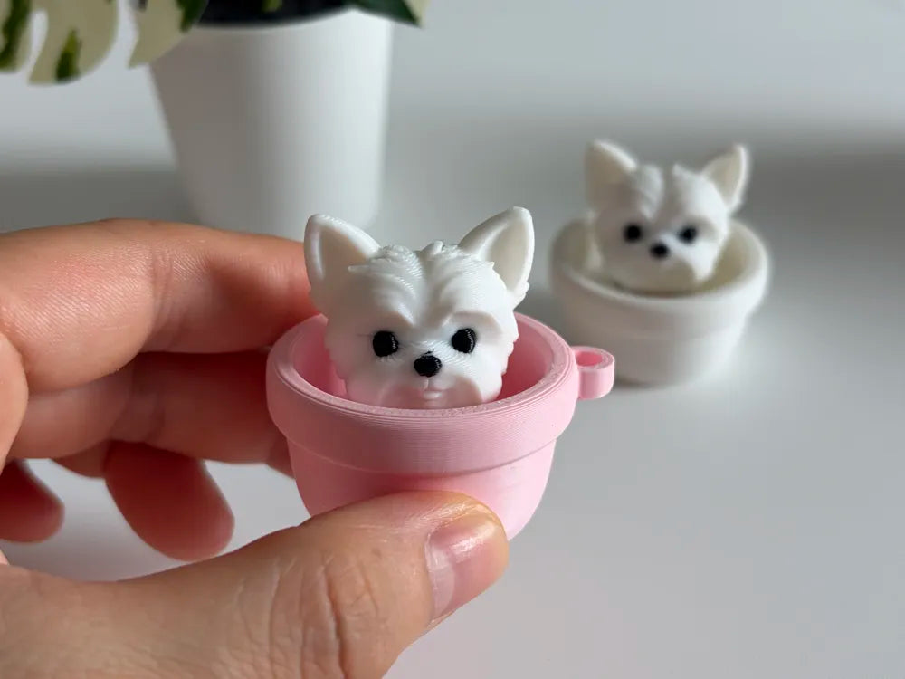 كليكر شيواوا في فازة - Dog Clicker